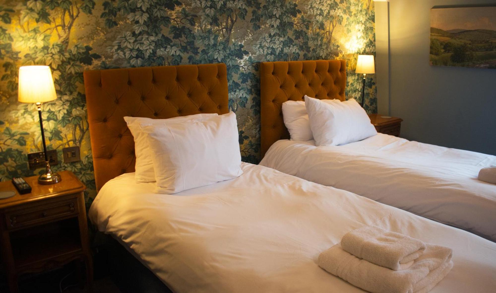 Westow House - London Crystal Palace Екстер'єр фото
